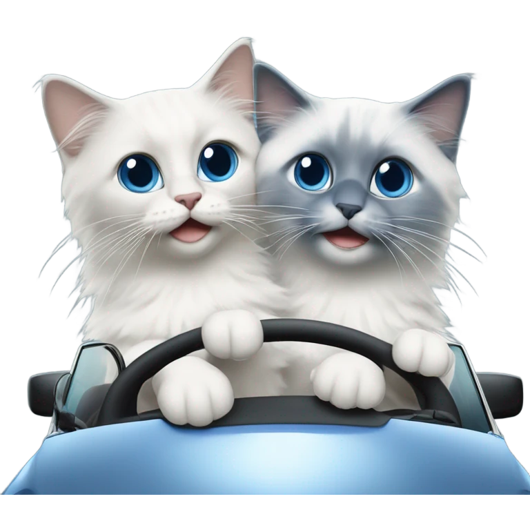 Two blue point ragdoll cats driving a car  emoji