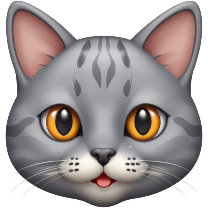 grey cat with a grey mole on right side or her mouth, in the middle of her face there is a right rocket shape pattern emoji