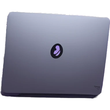 Side view developer behind his laptop with this style : crysis Cyberpunk Valorant neon glowing bright purple character purple violet black hooded assassin themed character emoji