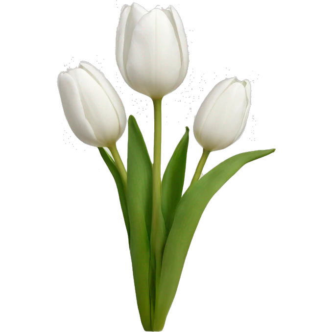 White tulips  emoji