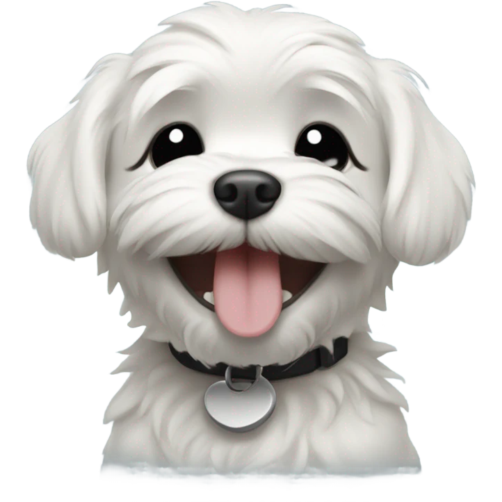 Black Maltese puppy completely black eyes closed laughing happy big smile  emoji