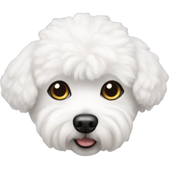 bichon frise emoji