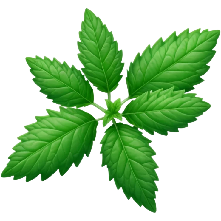 Peppermint (Mentha \(\times \) piperita)  emoji