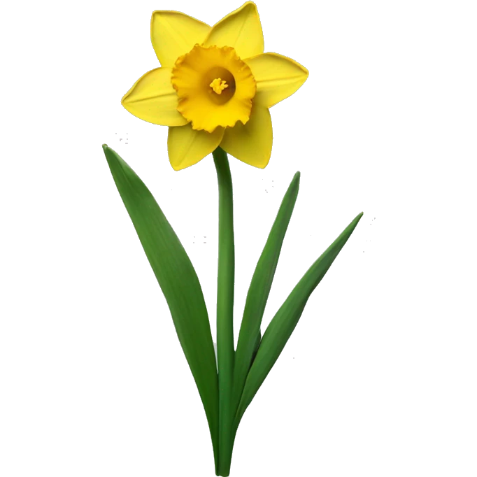 daffodil emoji