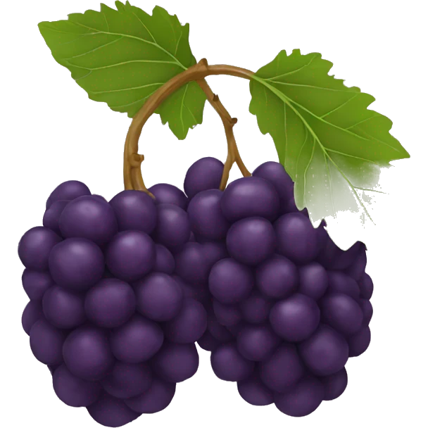 mulberry fruit emoji