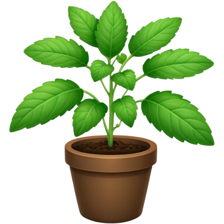 mint plant emoji