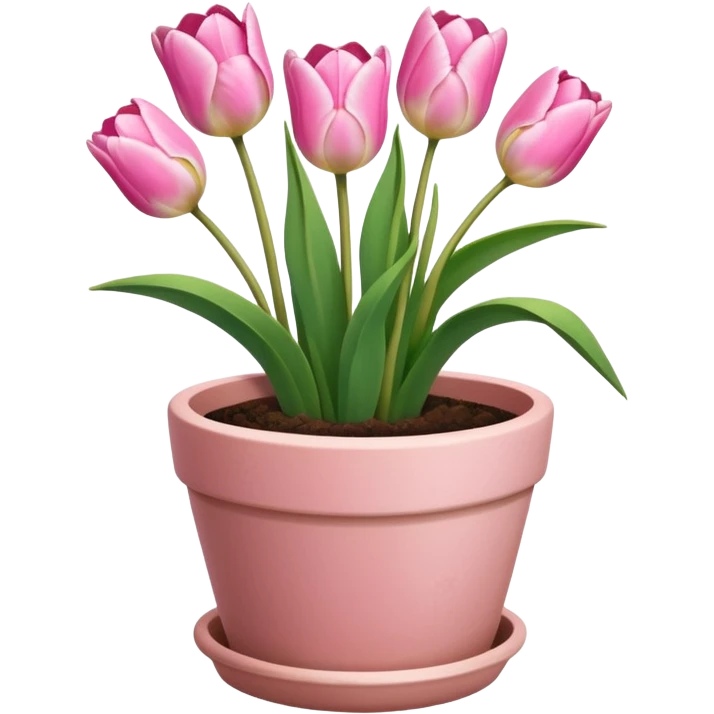 pink tulips in a plant pot in terra cota with white and pink flowers hand painted on the pot  emoji