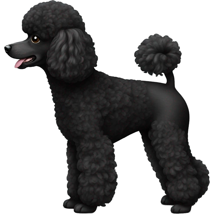 A black miniature poodle  emoji