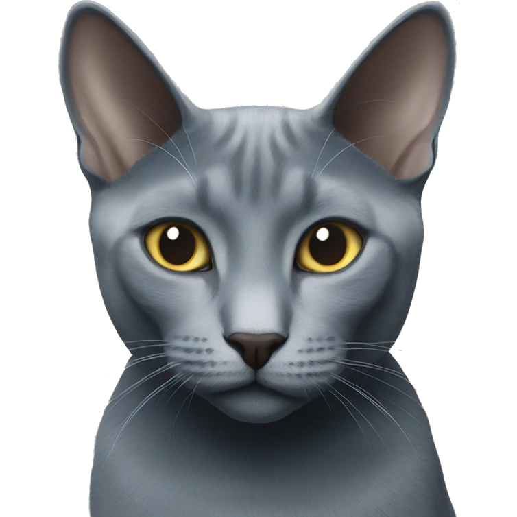 two Russian blue cats emoji