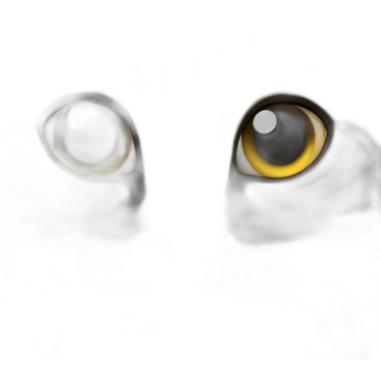 Chatte emoji
