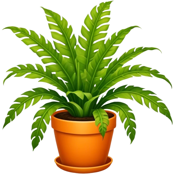 Bird's-nest fern plant in round orange pot emoji