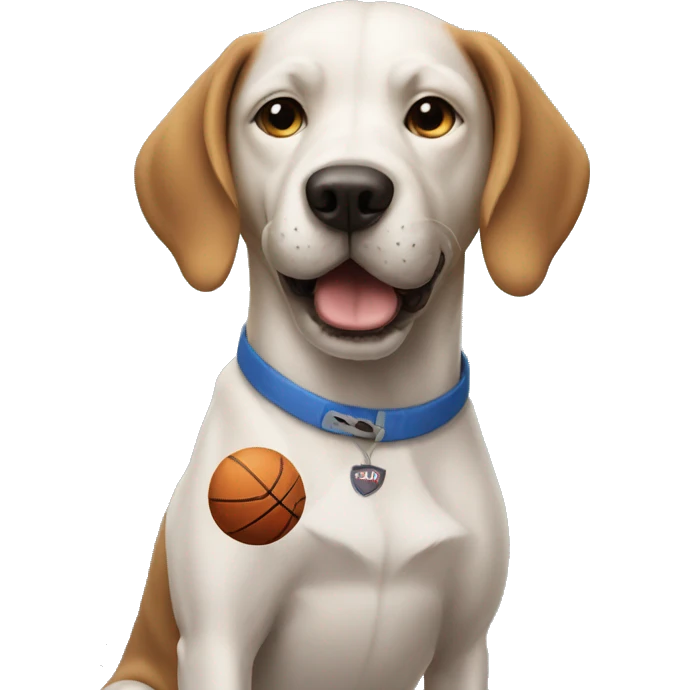 Dog playing basketball emoji