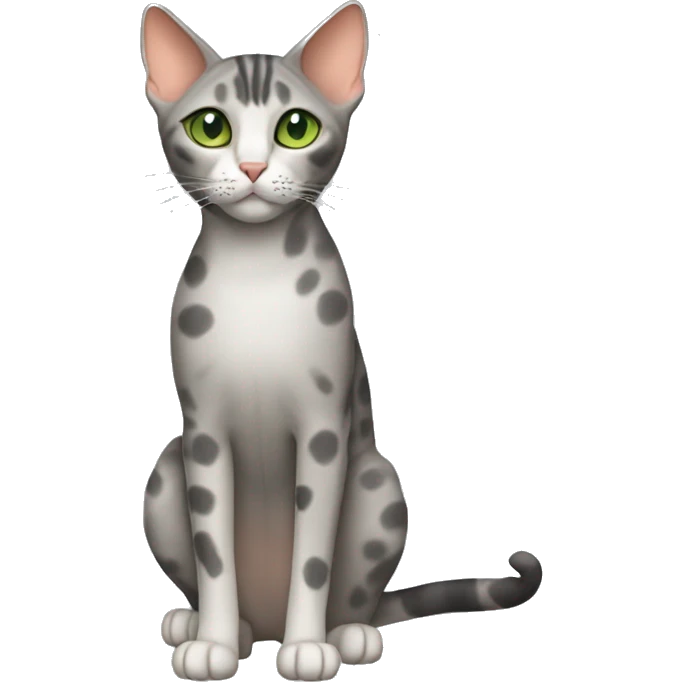 Short-haired oriental cat ,full body , grey coat with small spots , green eyes , terracotta nuzzle emoji