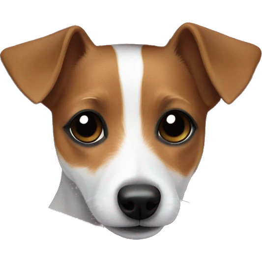 Jack russel Terrier cozy in pink blanket  emoji