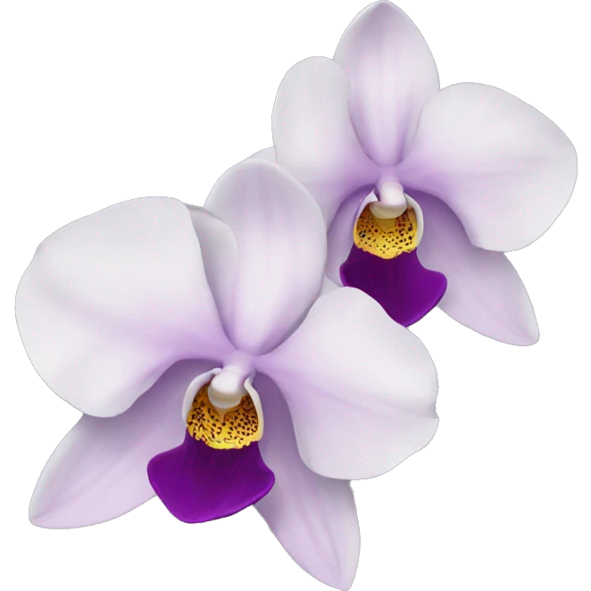 Orchid emoji