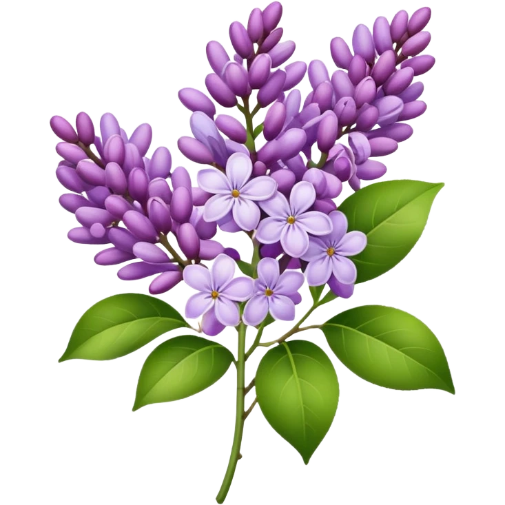 Lilac emoji