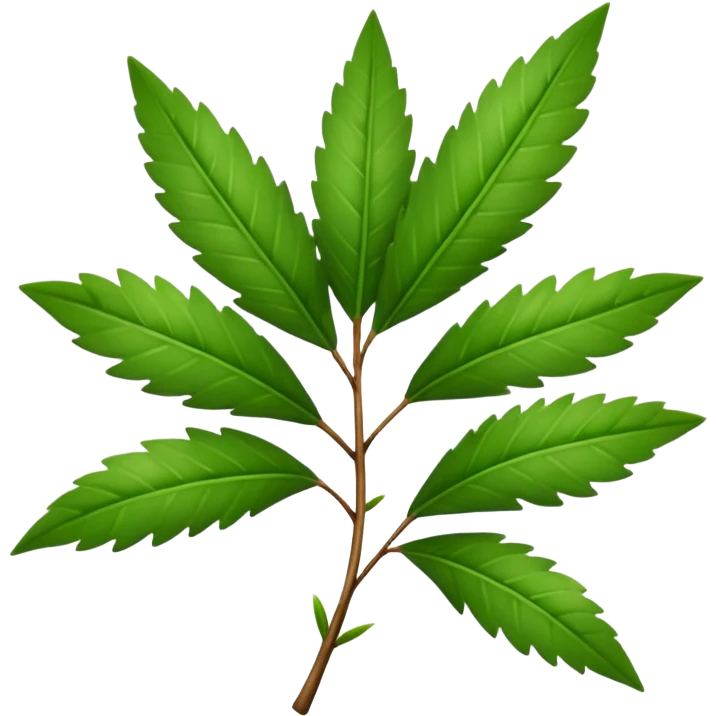 Tea tree leafs emoji