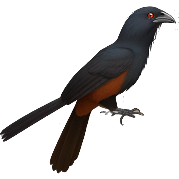 Greater coucal emoji