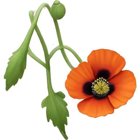 A red-orange poppy flower  emoji