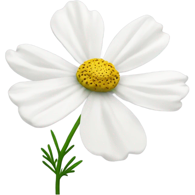 cosmos white flower emoji