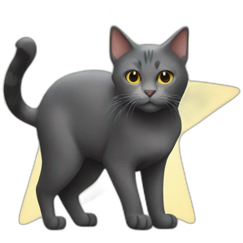 spynx cat next to a star emoji