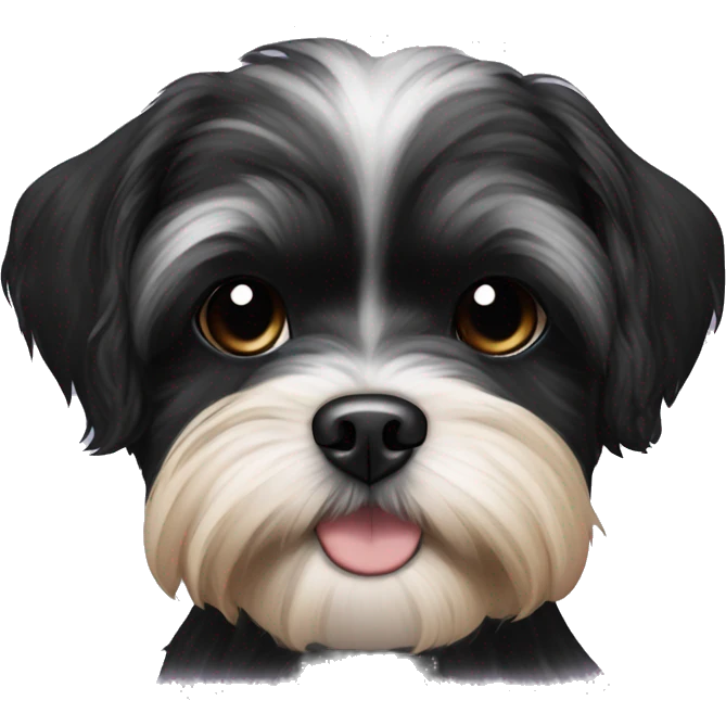 Shih tzu black puppy, yorkie coloring with light eyebrows  emoji