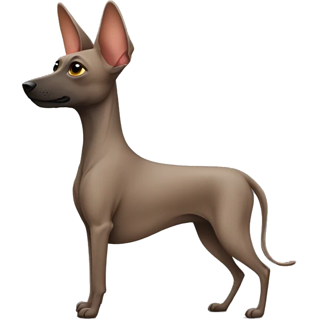 Xoloitzcuintle from side profile emoji