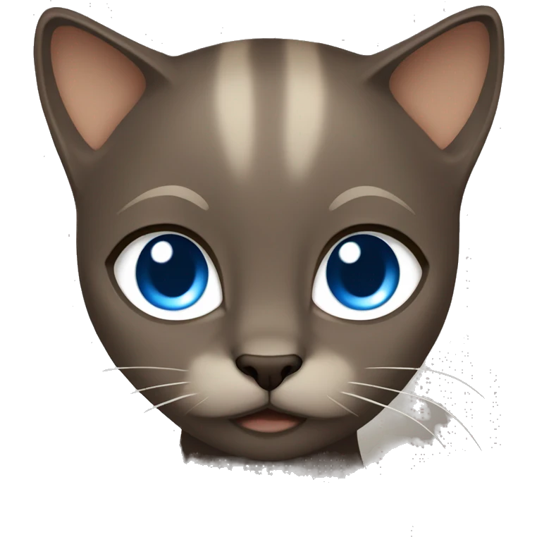 Dark Brown face - beige body and ears female siamise cat with blue eyes  emoji