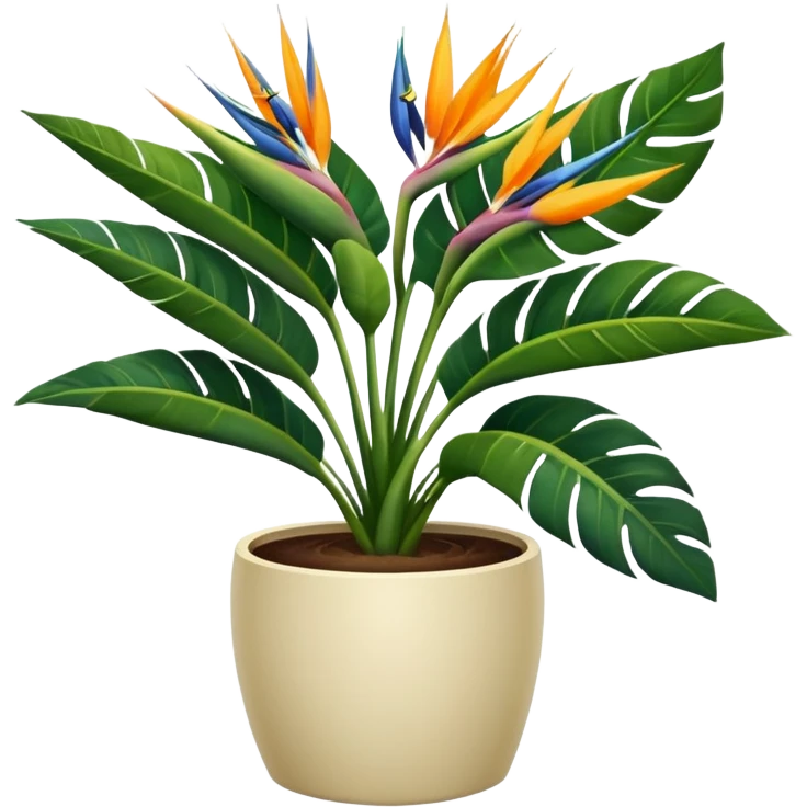 Bird of paradise leafy plant in cream pot no white between leaves emoji