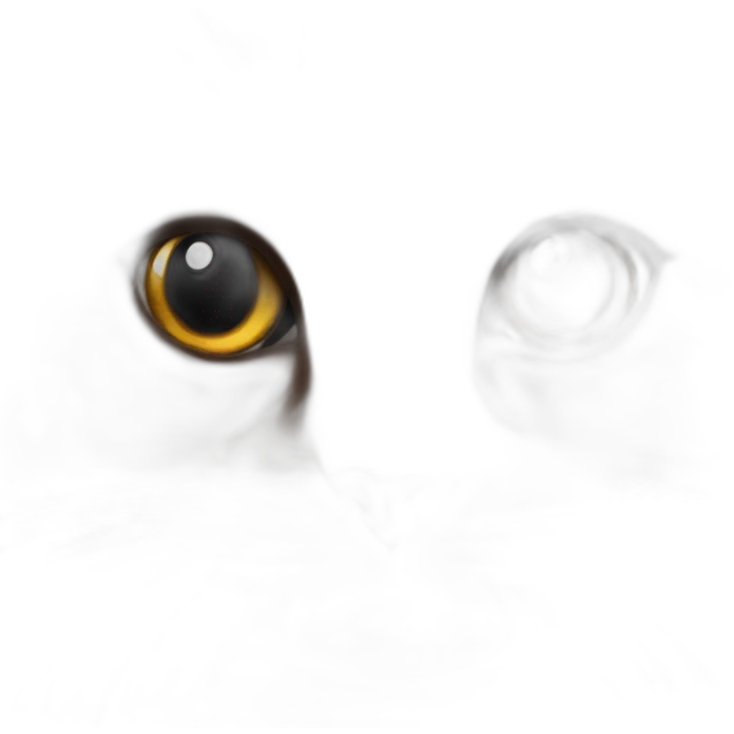 Chat Ragdoll marron emoji
