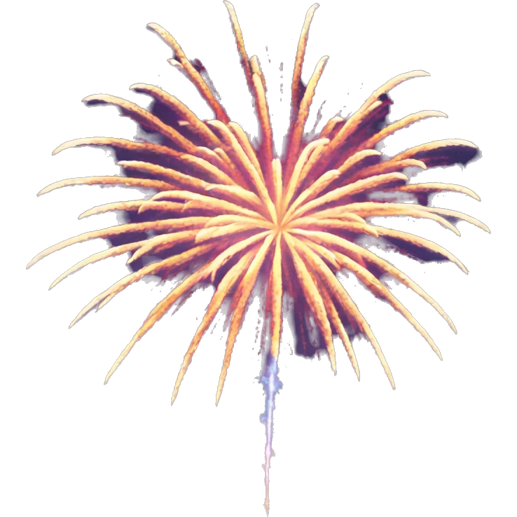 fireworks emoji