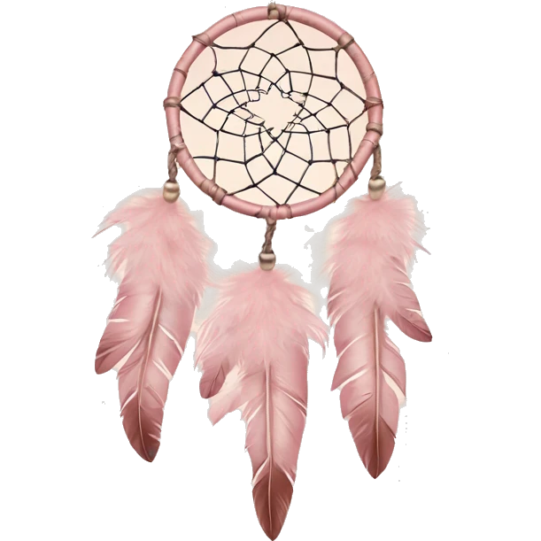 Blush pink dream catcher with feathers  emoji