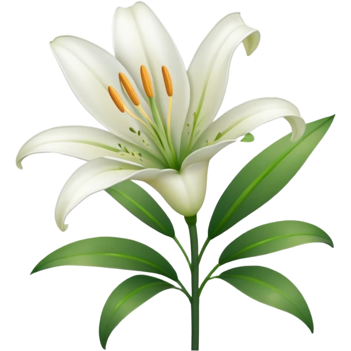 white lily  emoji