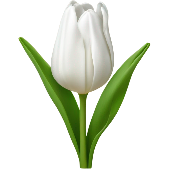 white tulip bouquet  emoji