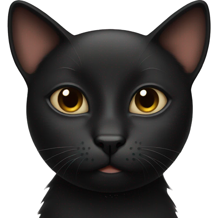 Black cat with much fue emoji