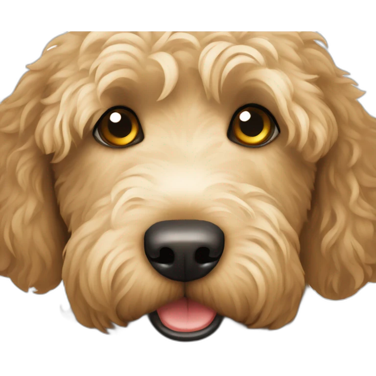 Labradoodle emoji