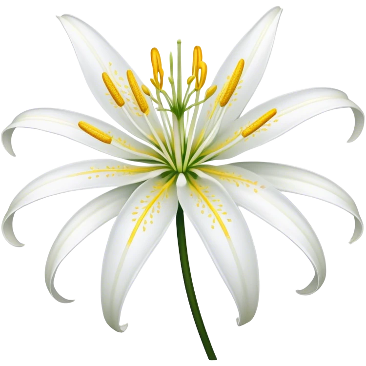 Spider lily flower emoji