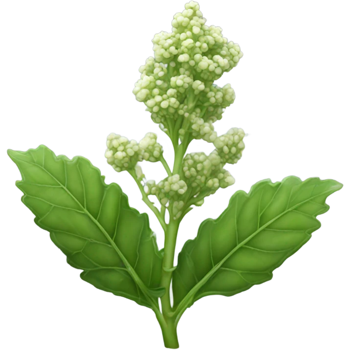 Chenopodium nuttalliae emoji