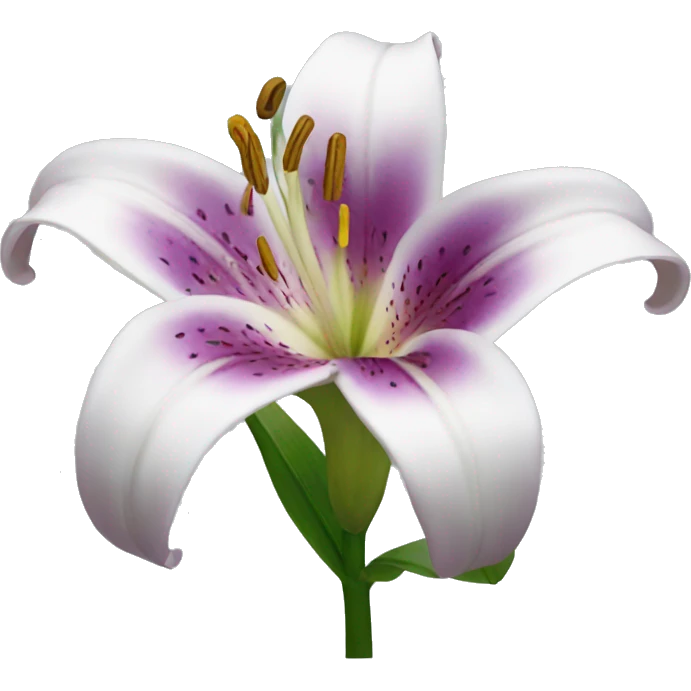 lily flower emoji