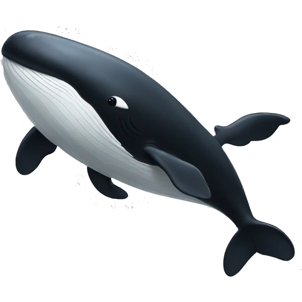  large black and white whale emoji