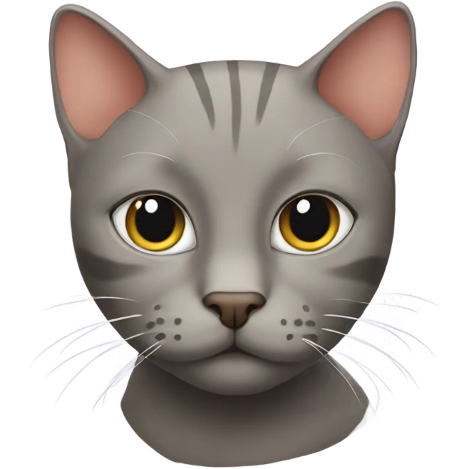 The bald cat emoji