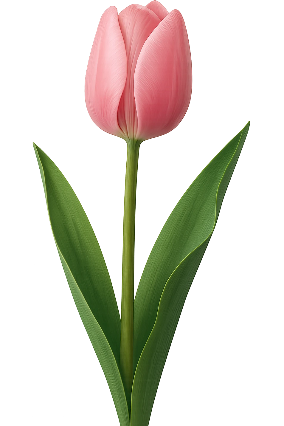 pink tulip emoji