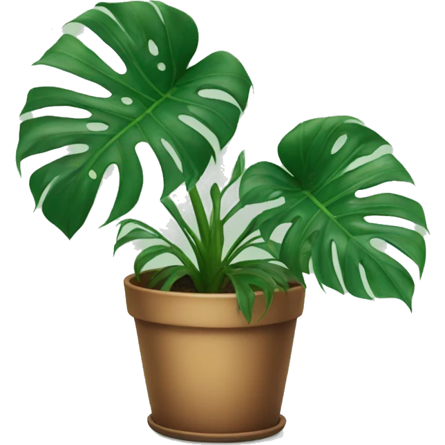 Monstera ( no pot ) emoji
