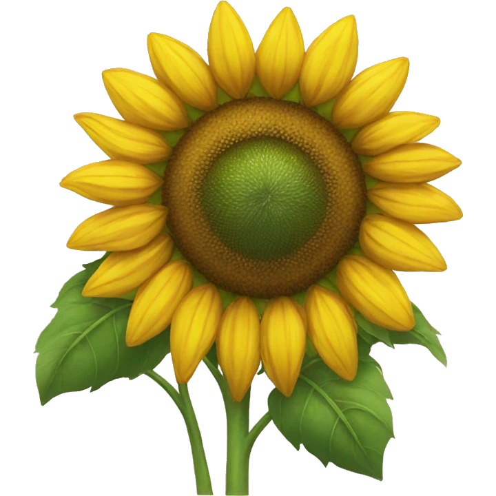 Sunflower  emoji