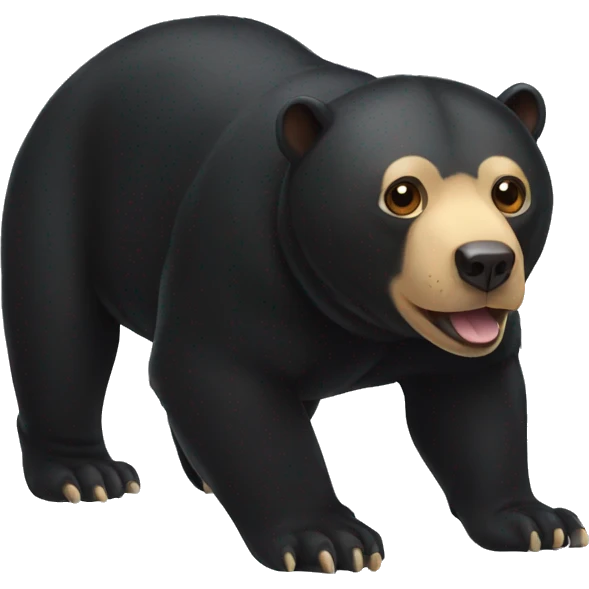 sun-bear emoji
