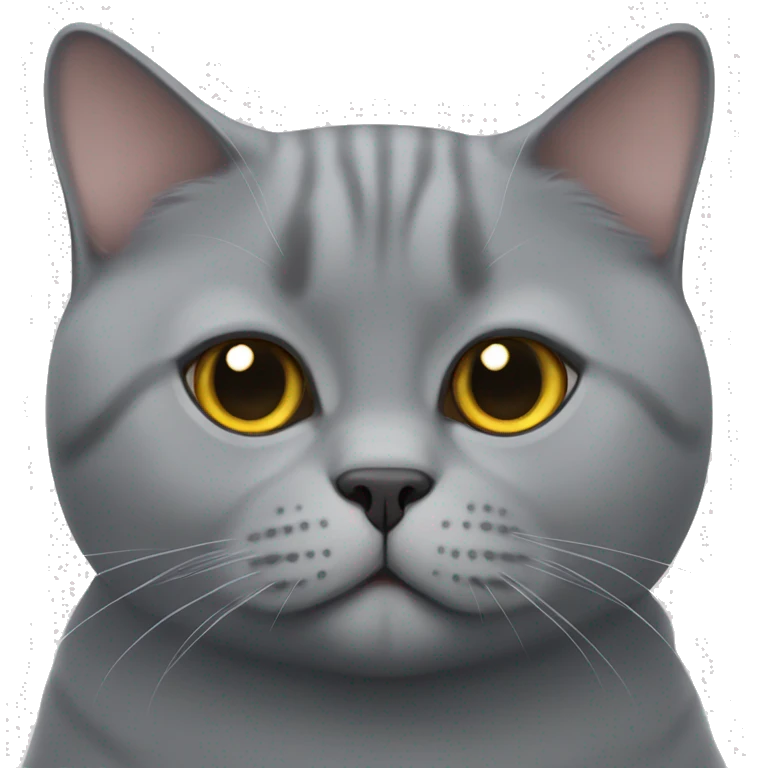 a british shorthair cat emoji