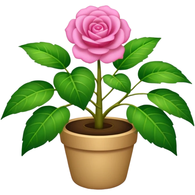 Una planta bonita, con su masetá color rosa emoji