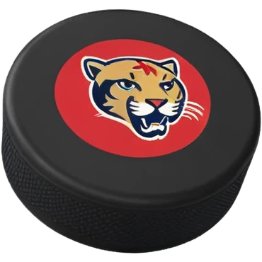 hockey puck with Florida Panthers colors emoji