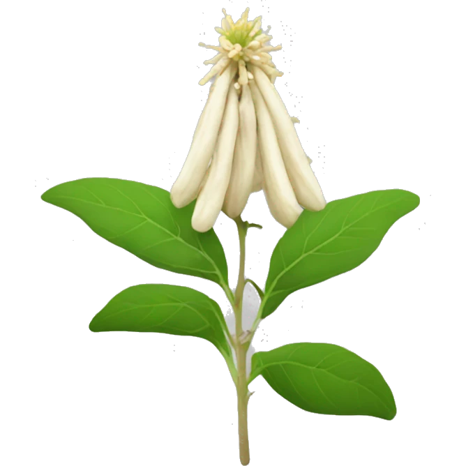 ashwagandha with flower emoji