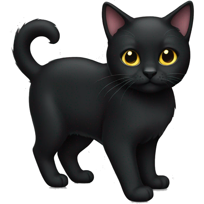 black cat emoji